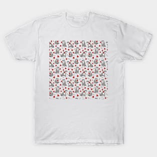 Cute Raccoon with Watermelon Pieces T-Shirt